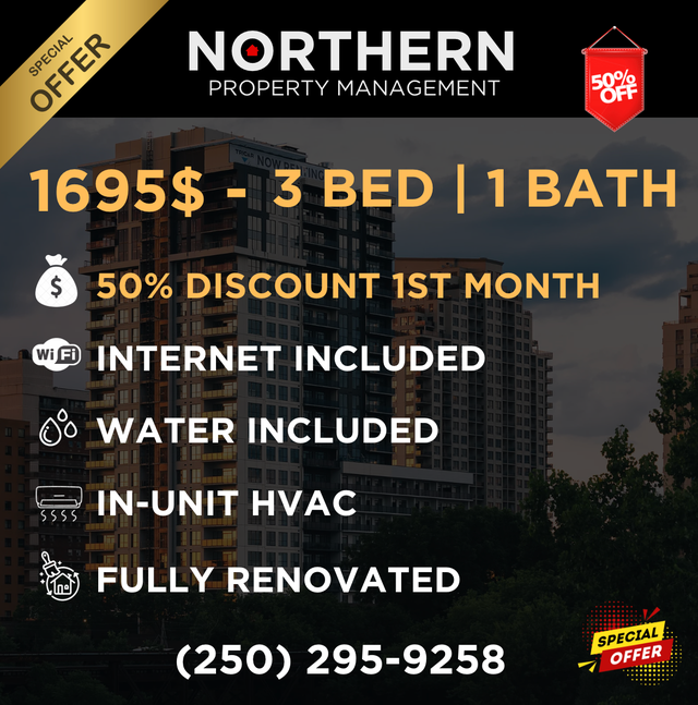 Renovated 3 Bedroom Apartment