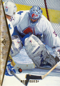 Cartable de 99 cartes hockey Nordiques (Sakic inclus)