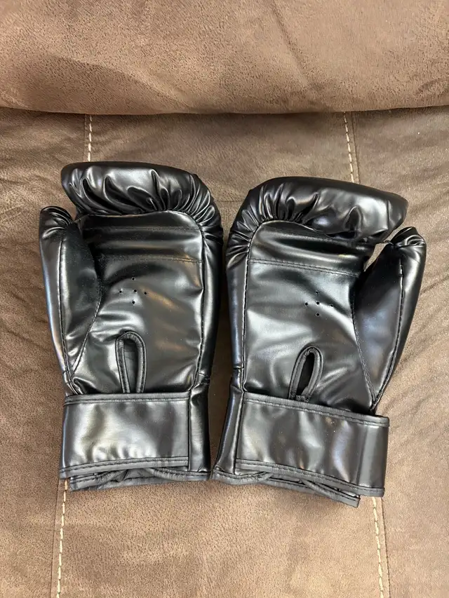 MMA Boxing Gloves in Other in Windsor Region - Image 3