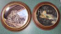 Beautiful set "Worlds most magnificiant Cats" framed plate set