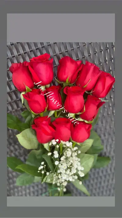 Roses Mother’s Day  dozen roses $45, View more