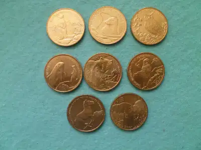Nordic Gold Polish coins, View more