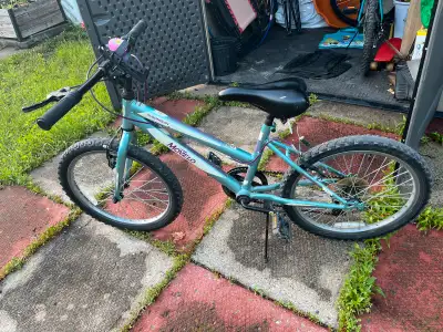 Turquoise: Algonquin Molevo 60$ Orange: Raleigh Rock frein arrière à réparer 100$