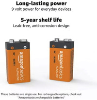 9 Volt   Everyday Alkaline Battery 2 pack 5-year   shelf life