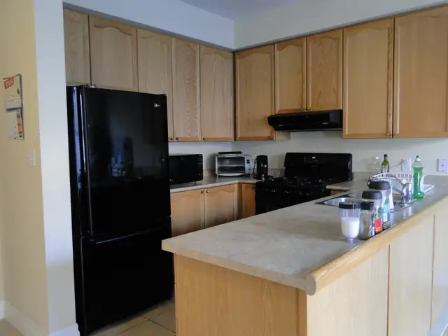 Student Room Rent wt PRIVATE BATHROOM/SHOWER at York University in Room Rentals & Roommates in City of Toronto - Image 4