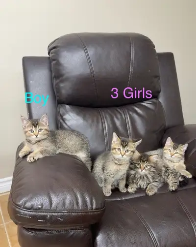 only 1 boy and 1 girl left, View more