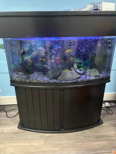 55 gallon bow front aquarium with stand, heater, rocks, lid and light, two filters large sunsun cani...