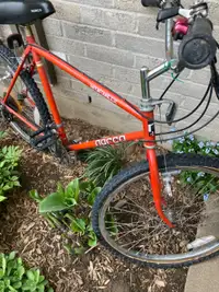 Two Norco mountain bikes. Blues a parts bike and red needs work.