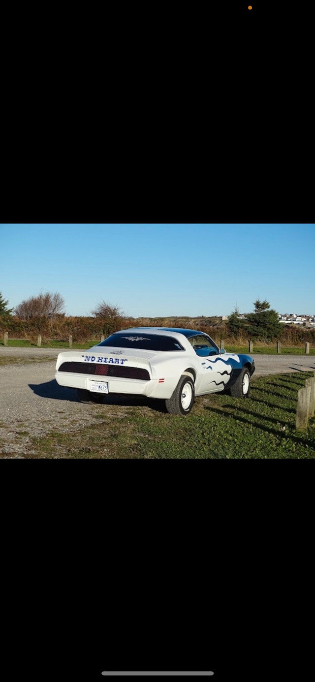 1981 Pontiac firebird  in Classic Cars in Cape Breton - Image 4