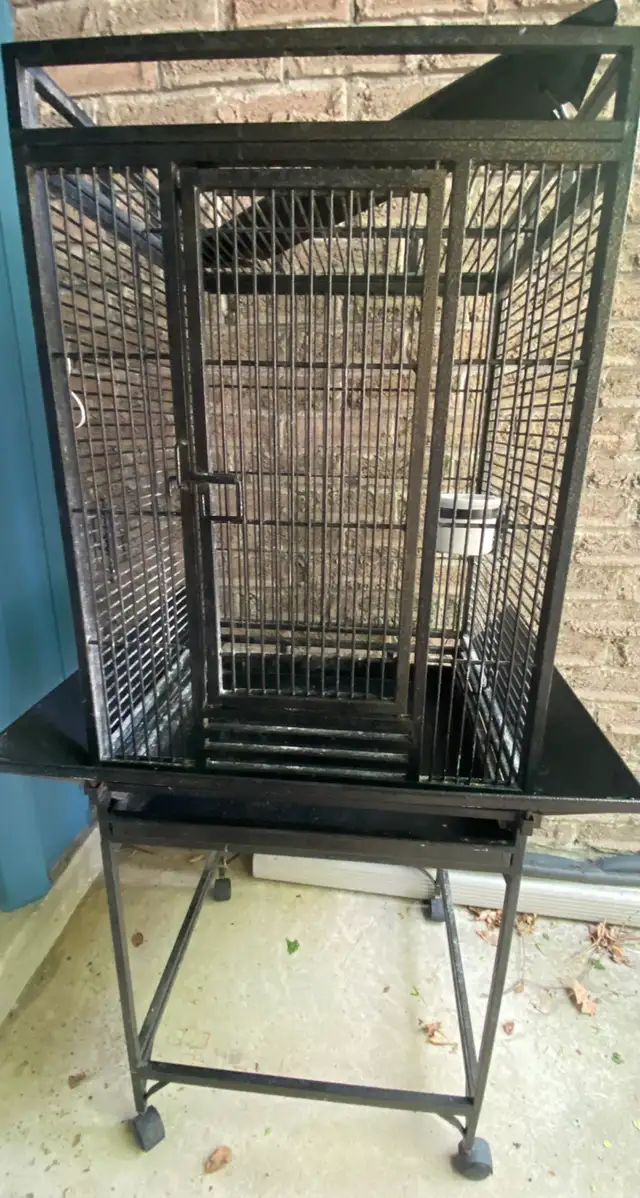 bird cage in Birds for Rehoming in Markham / York Region - Image 2