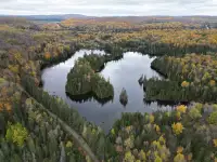 Domaine forestier de 204 acres dans les Laurentides