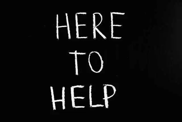 Bilingual Hardworking Man Seeking Work63749389387779120