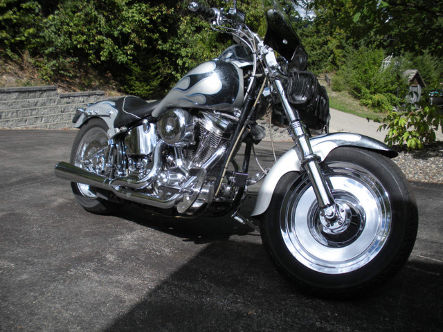 Custom 1986 Harley Davidson FXSTC. dans Utilitaires et de promenade  à Comté de Strathcona - Image 4