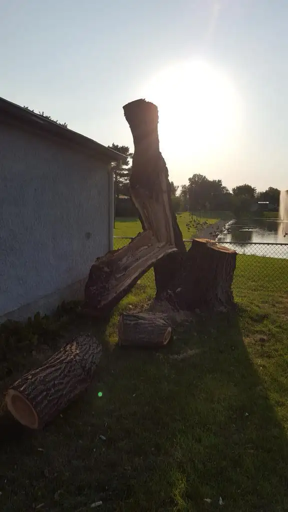 BEST ROOF REPAIRS WINNIPEG628632334746911215
