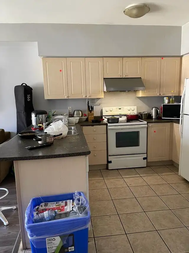 1 room available! York University-village green in Room Rentals & Roommates in City of Toronto - Image 3