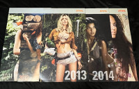 MUST SELL Stihl Chainsaw Calendars 2007, 2011, 2012, 2013 & 2014