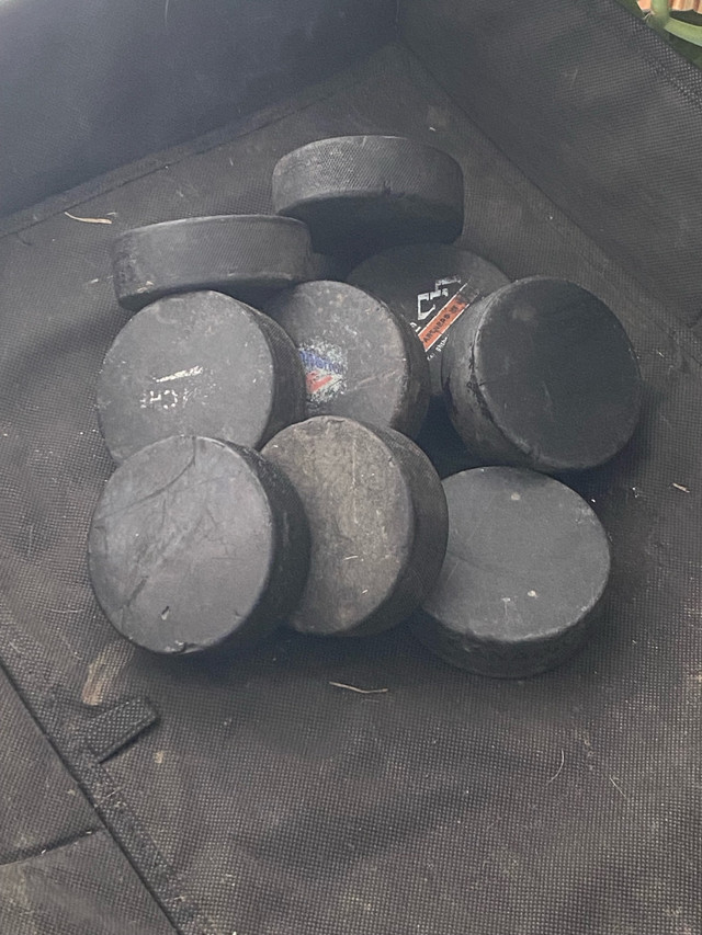 Hockey net  in Hockey in Calgary - Image 3