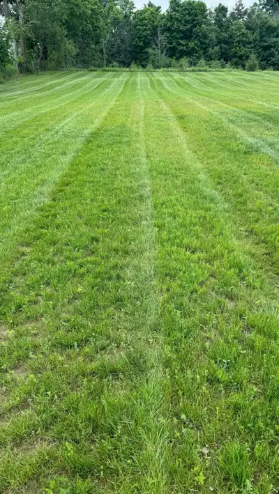 Lawn care, spring clean up, & Property Maintenance, View more