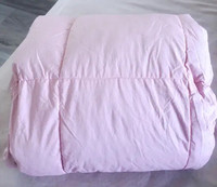 Twin size down duvet and 2 pieces duvet cover set for $50