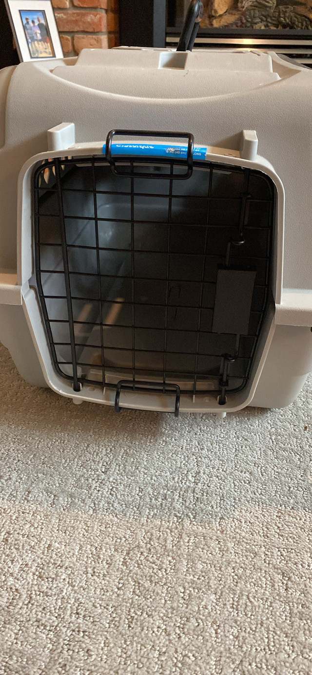 Pet carrier in Accessories in London