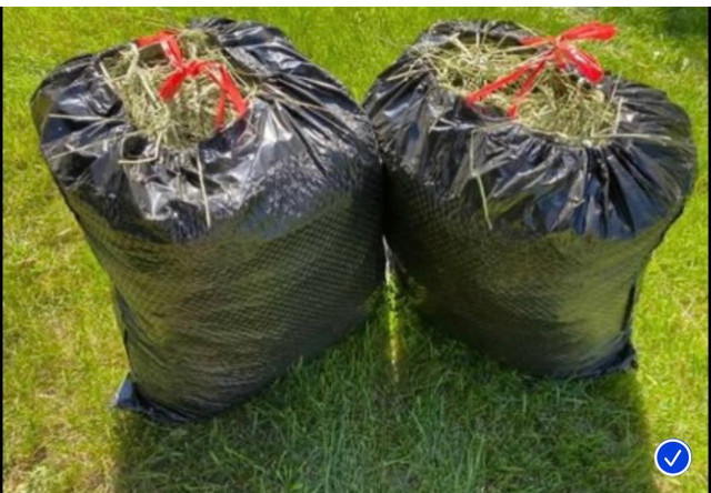 Bags of Timothy hay in Animal & Pet Services in Calgary