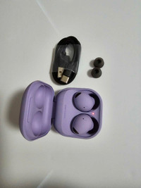 Samsung Galaxy Buds2 Pro with New Unused diofit Buds