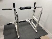 Bench Press/Squat Frame with bar and York Plates