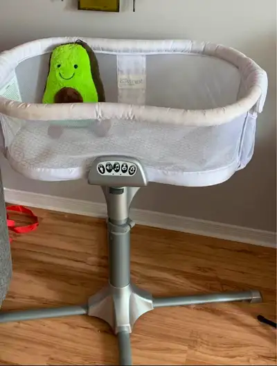 Kijiji halo bassinet hotsell