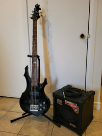 ESP LTD F-105, 5 strings bass, ROLAND cube amplifier, stand