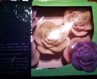 Algreen LED floating roses changes color great for pools, ponds, View more