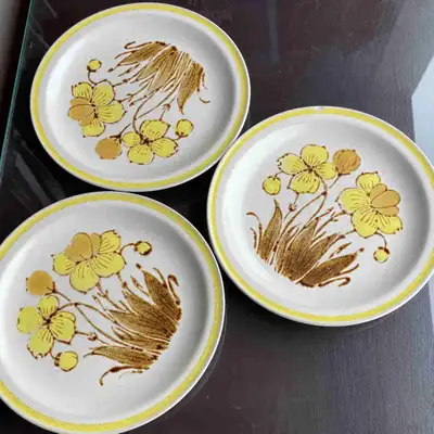 Selling a set of 3 vintage Islander stoneware plates made in Japan. Beautiful retro floral design wi...