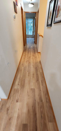 "Renovation, Painting, Flooring: Your Complete Construction Sol