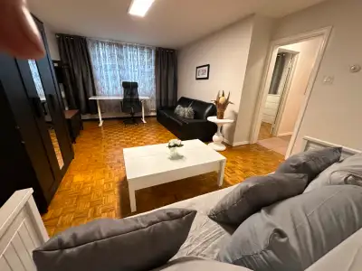 FURNISHED ONE BEDROOM APARTMENT NEAR UNIVERSITIES, HOSPITALS