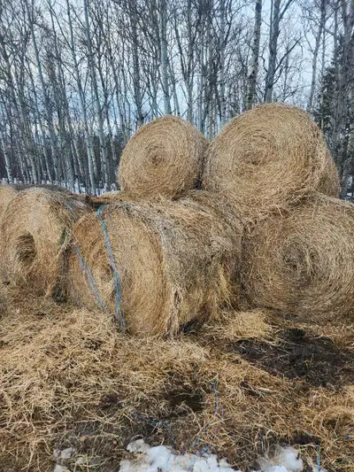 Round Bales, View more