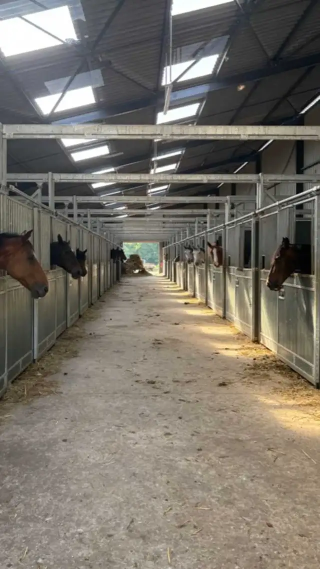 help at a stable/ranch64529144543106121