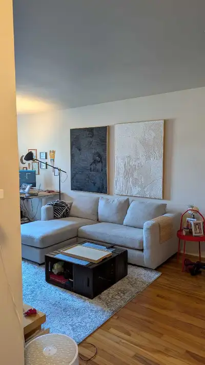 Grey Sectional Couch, View more