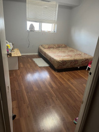 1 room available