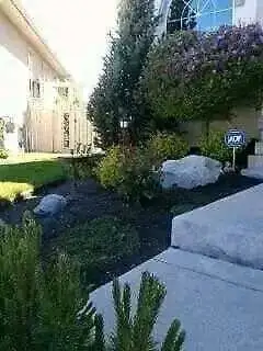 Affordable Professional Pruning/Gardening (reasonable pricing)63013091135105120