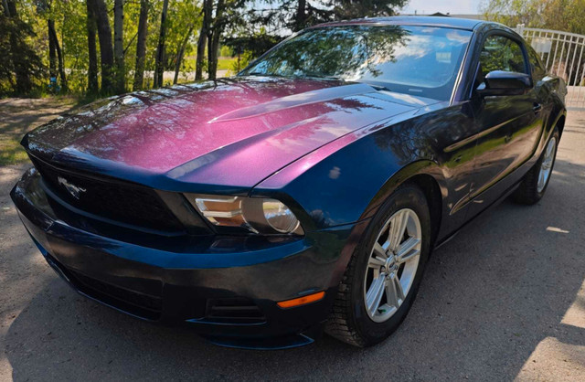 2012 Ford Mustang V-6, Low Km, Excellent shape  in Cars & Trucks in St. Albert - Image 3