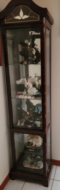 Selling Display Cabinet (with lights)