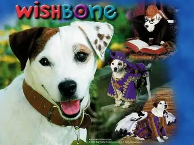 WISHBONE COMPLETE SERIES 8 DVD ISO SET 50 EPISODES + SPECIALS, View more