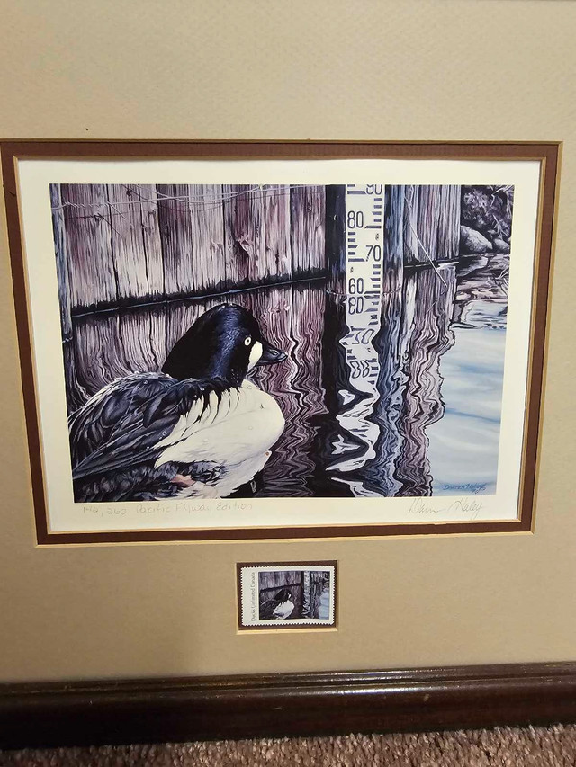 Ducks unlimited print  in Arts & Collectibles in Red Deer - Image 4