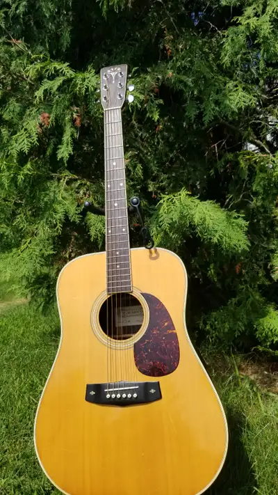 T.Haruo Acoustic Guitar, View more