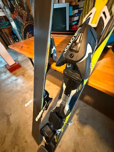 Skis with Poles, View more