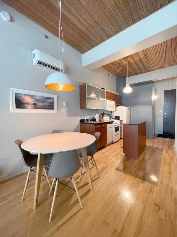 Petite-Italie/Mile-End: Superbe loft de 480 pc avec garage. dans Condos à vendre  à Ville de Montréal - Image 4