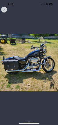 2008 Harley Davidson Sportster 883 low