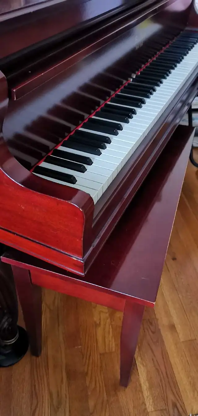 Antique 1913 Bradbury Baby Grand Piano - Carved Legs & Bench in Pianos & Keyboards in City of Toronto - Image 5