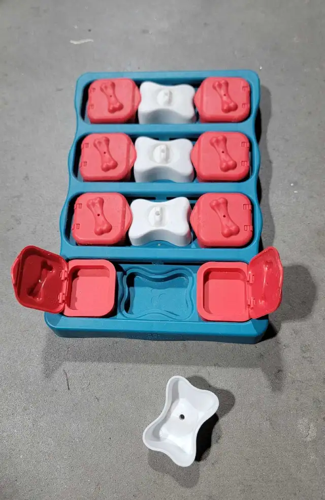 Dog Puzzle by Outward Hound in Other in Kingston - Image 3