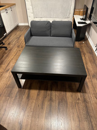 Moving sale - Almost BRAND NEW- IKEA mini couch & coffee table