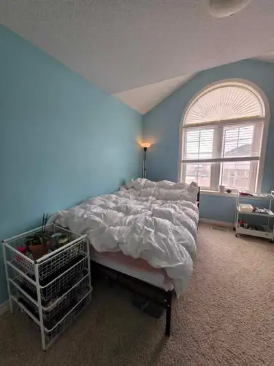 Looking for a student or young working professional in a female only house located in the south end...